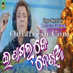 E Pagal Ke Dekhi Aa - Sambalpuri Bewafa Song By Mental Sonu